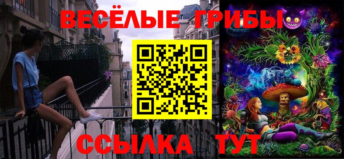Псилоцибиновые грибы MAGIC MUSHROOMS  Вход с VPN  где можно купить наркотик  Ставрополь 