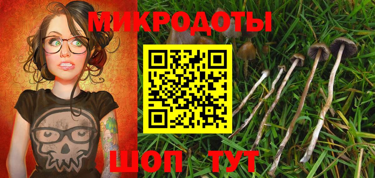 Псилоцибиновые грибы мухоморы Ставрополь